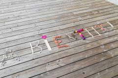 Messages pour mes camarades
